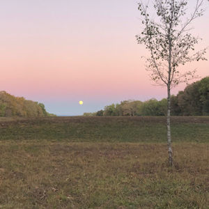 Meet your Posher, Paige